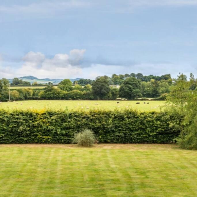 Killenard Kottage, Killenard, Laois Apartman Kültér fotó