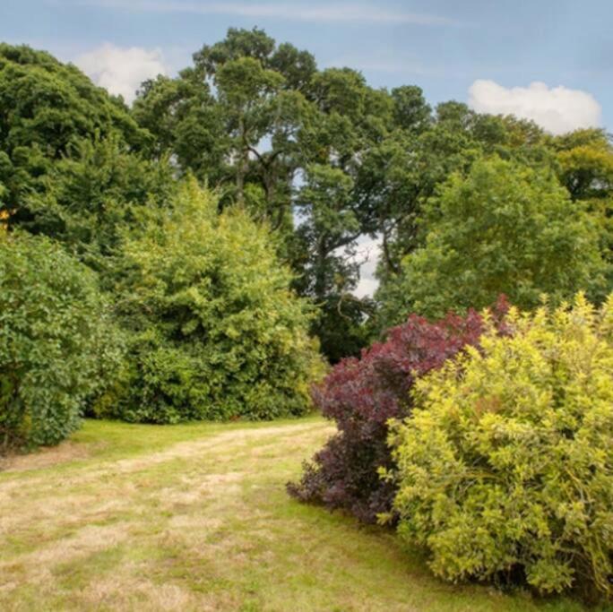 Killenard Kottage, Killenard, Laois Apartman Kültér fotó